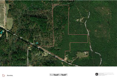 00 Fm-144 Daingerfield TX 75638