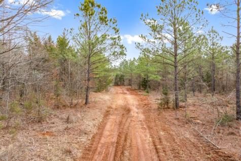 00 Fm-144 Daingerfield TX 75638