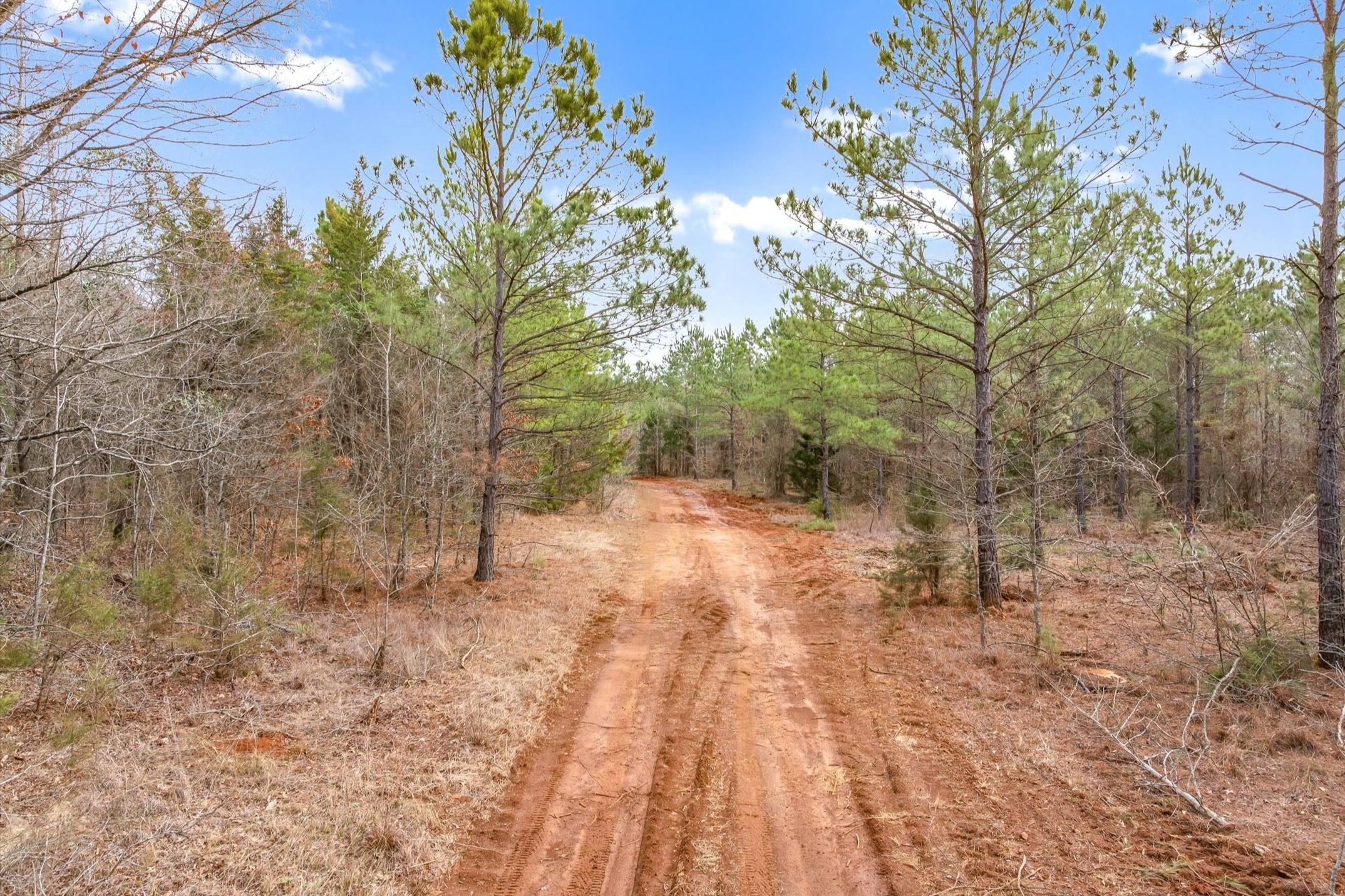 00 Fm-144 Daingerfield TX 75638