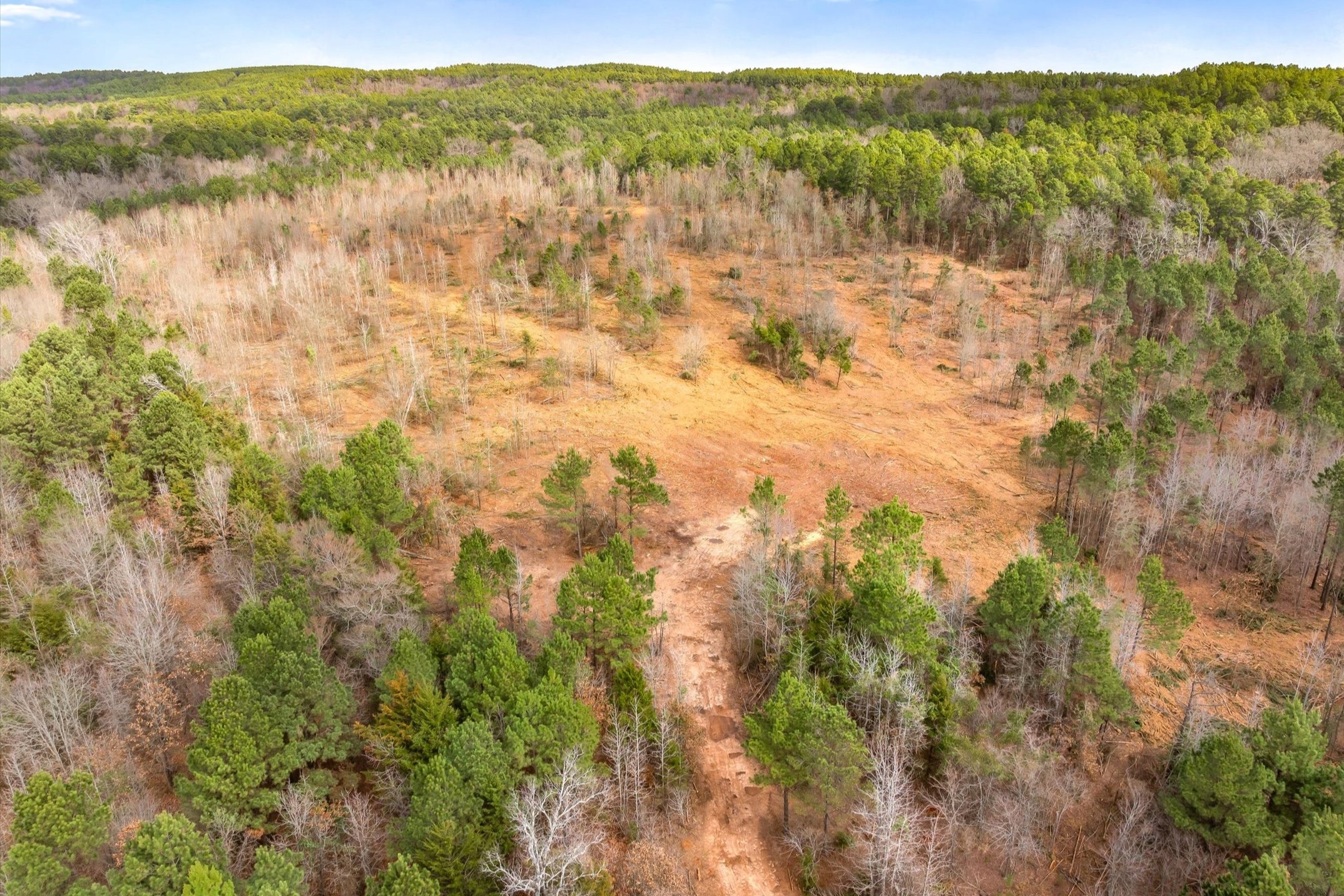 00 Fm-144 Daingerfield TX 75638