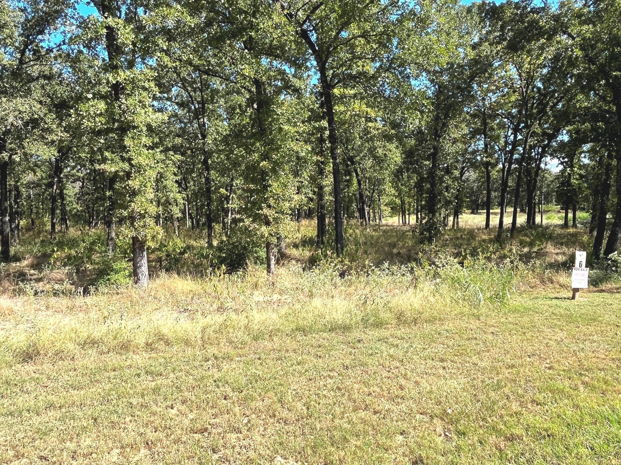 6924 Lakeshore Way Log Cabin TX 75148