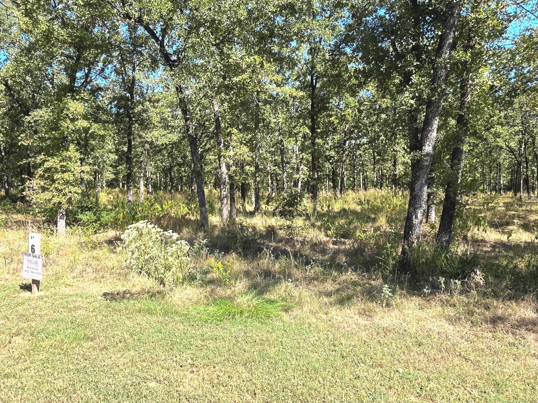 6924 Lakeshore Way Log Cabin TX 75148