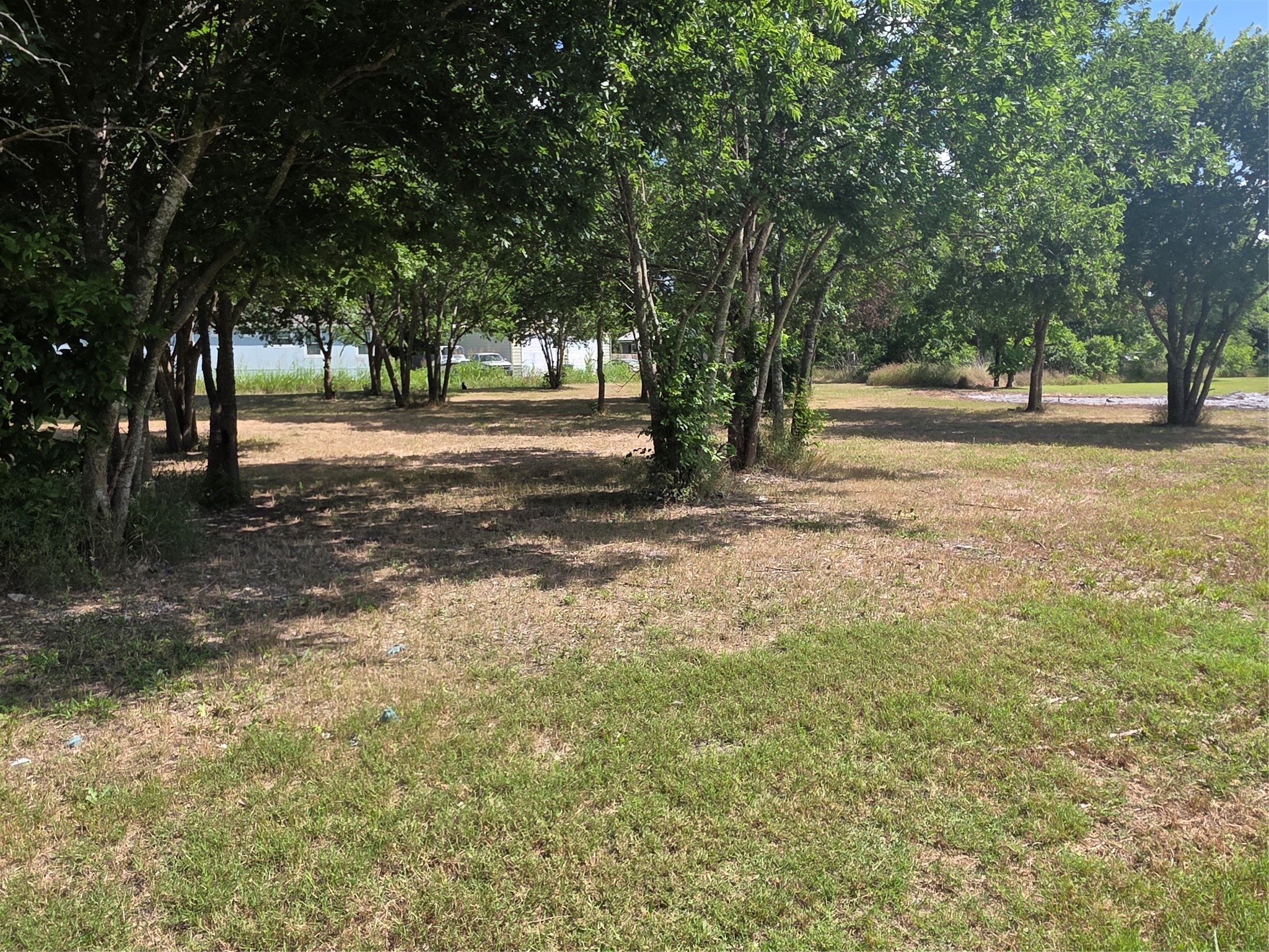 Tbd 6 S Elm Mart TX 76664