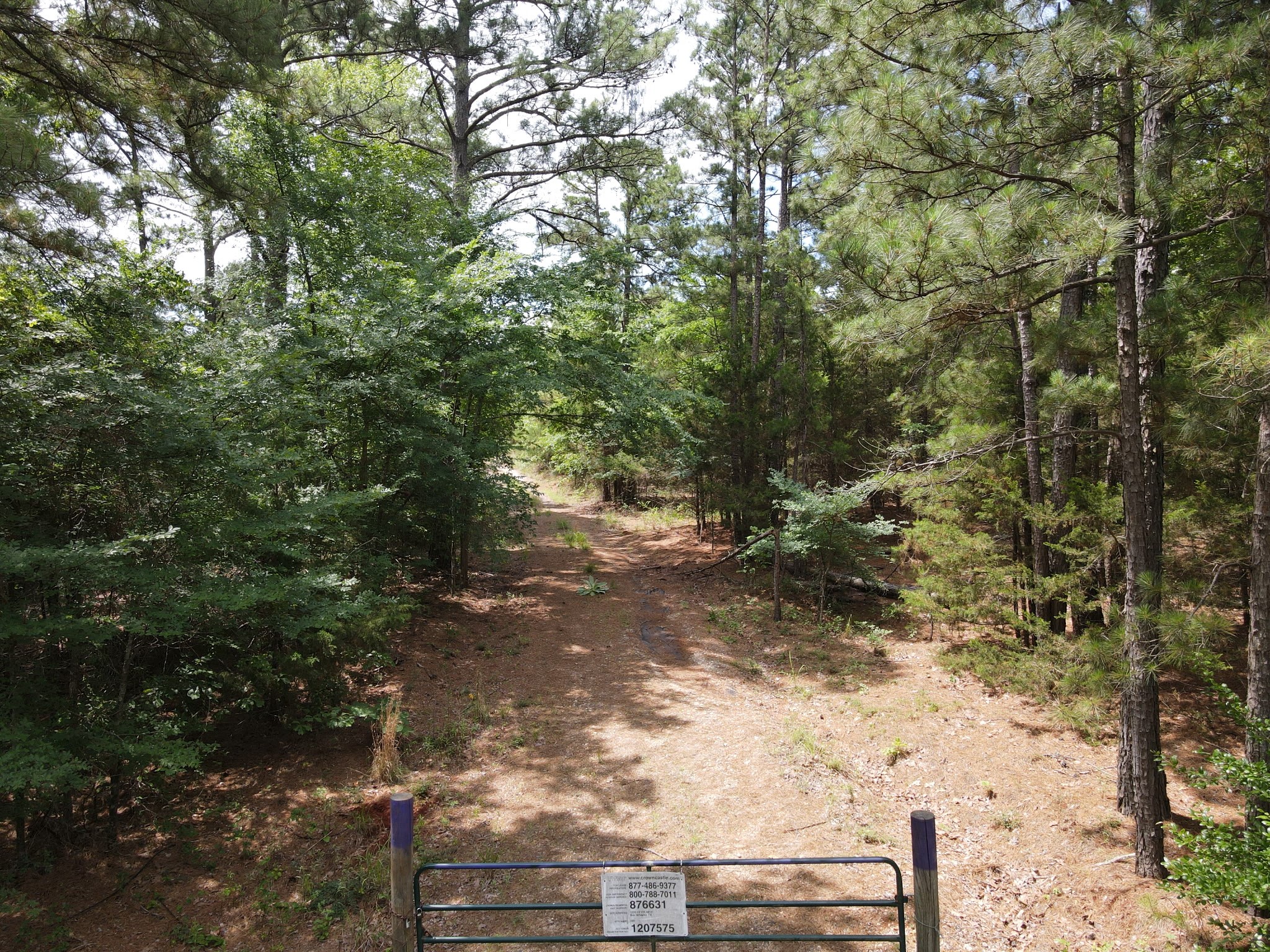 Tbd 16 +/- Ac Vz County Road 4814 Ben Wheeler TX 75754
