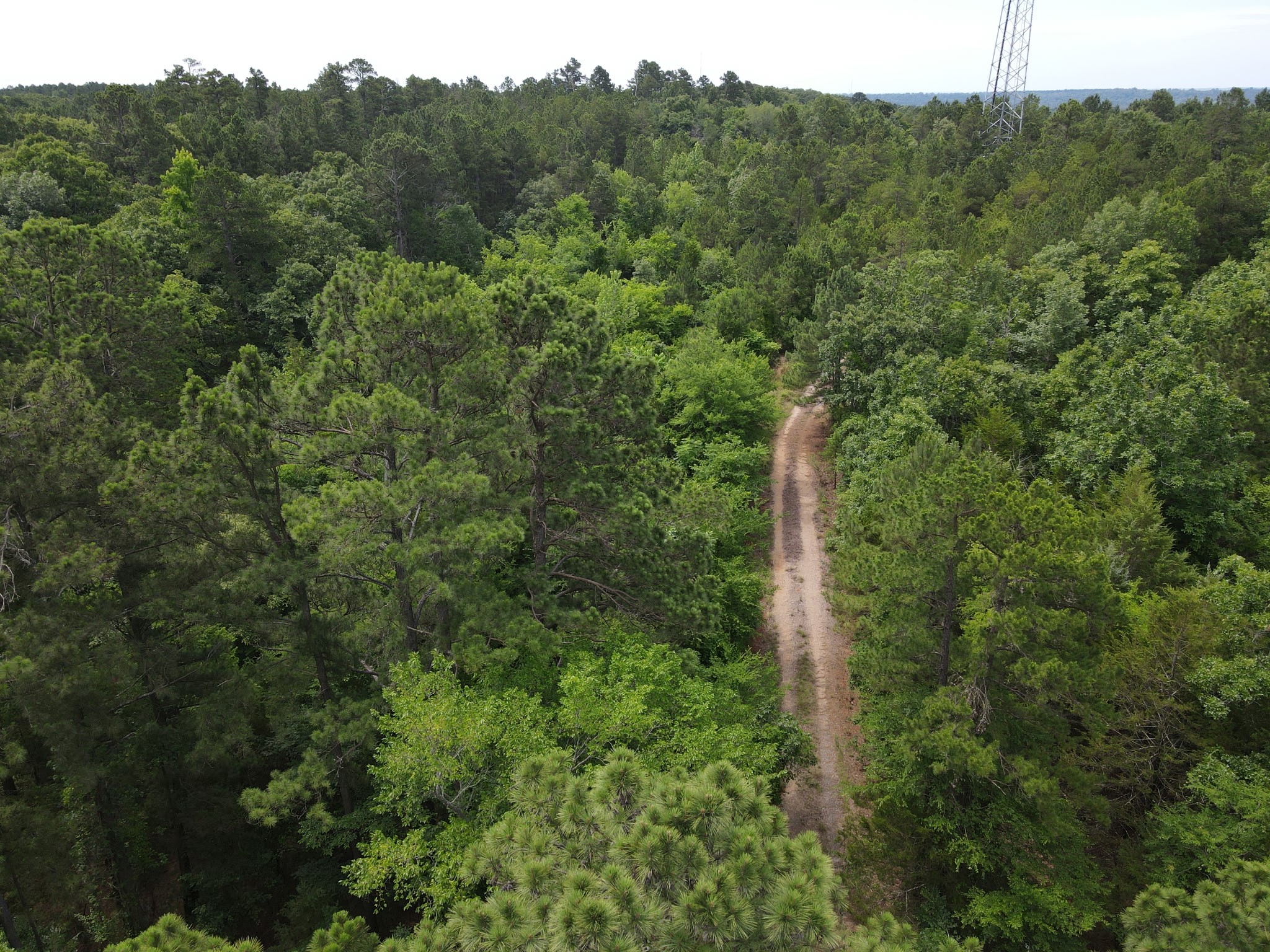Tbd 16 +/- Ac Vz County Road 4814 Ben Wheeler TX 75754