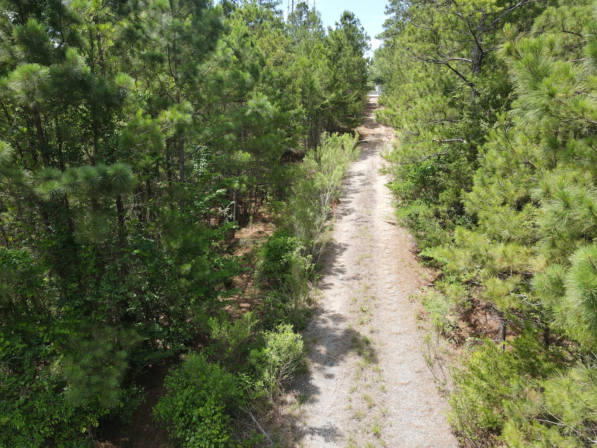 Tbd 16 +/- Ac Vz County Road 4814 Ben Wheeler TX 75754