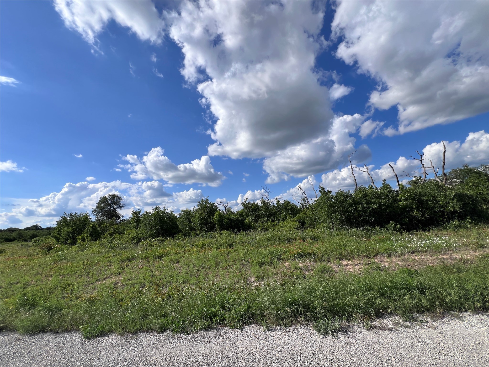 Tbd Lot 26 Live Oak Trail Clyde TX 79510