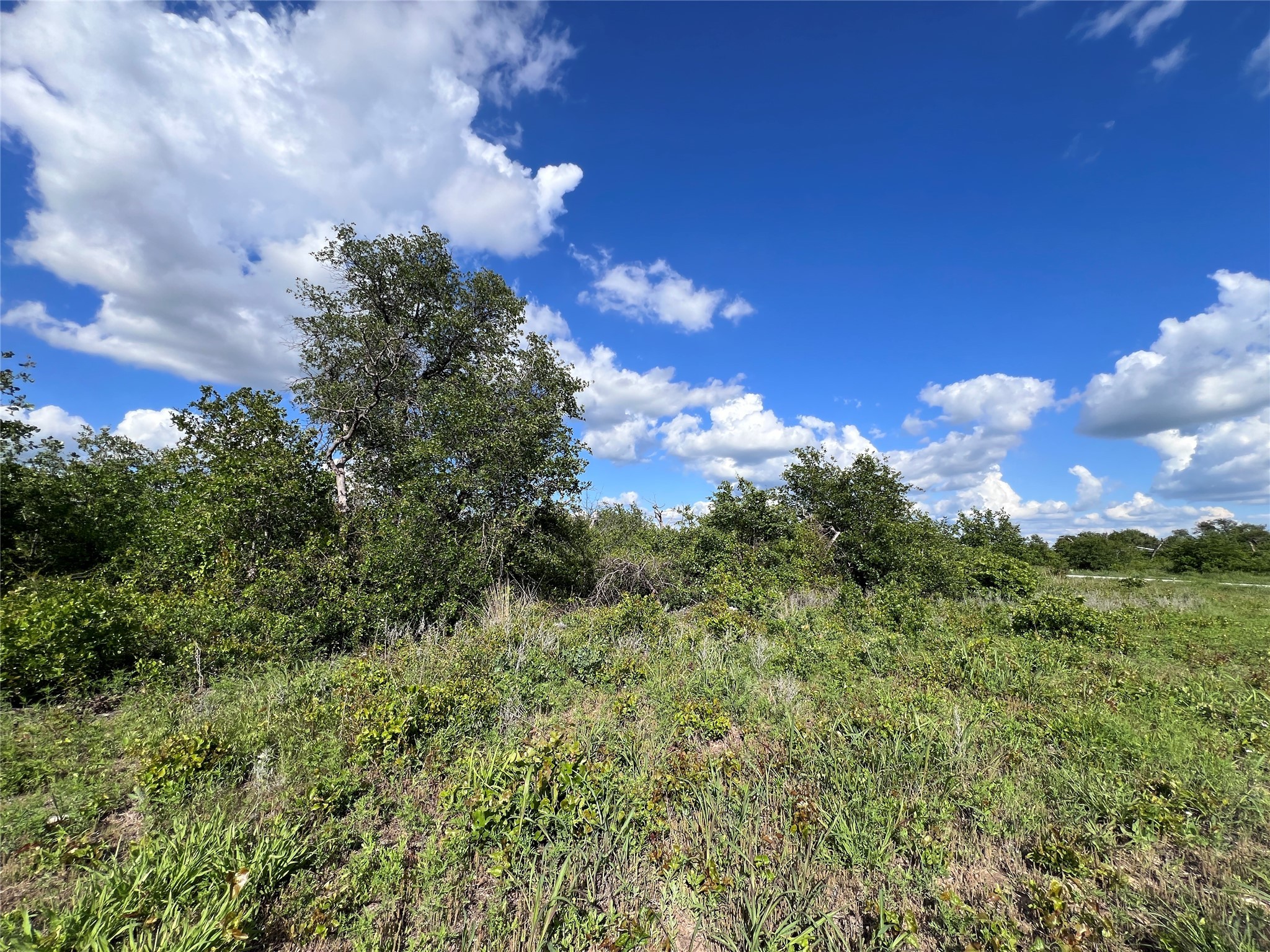 Tbd Lot 26 Live Oak Trail Clyde TX 79510
