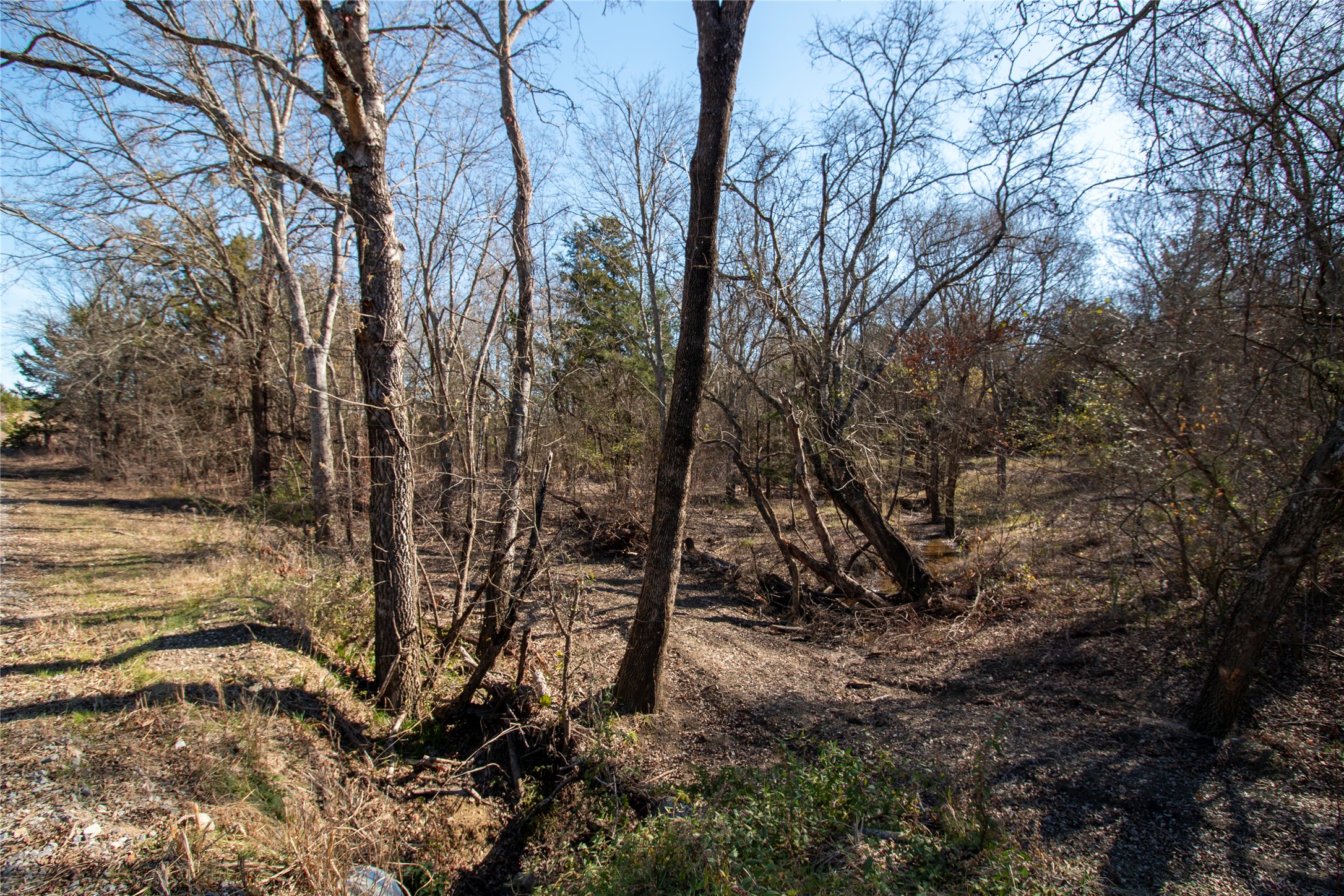 Lot 3 County Road 2905 Dodd City TX 75438