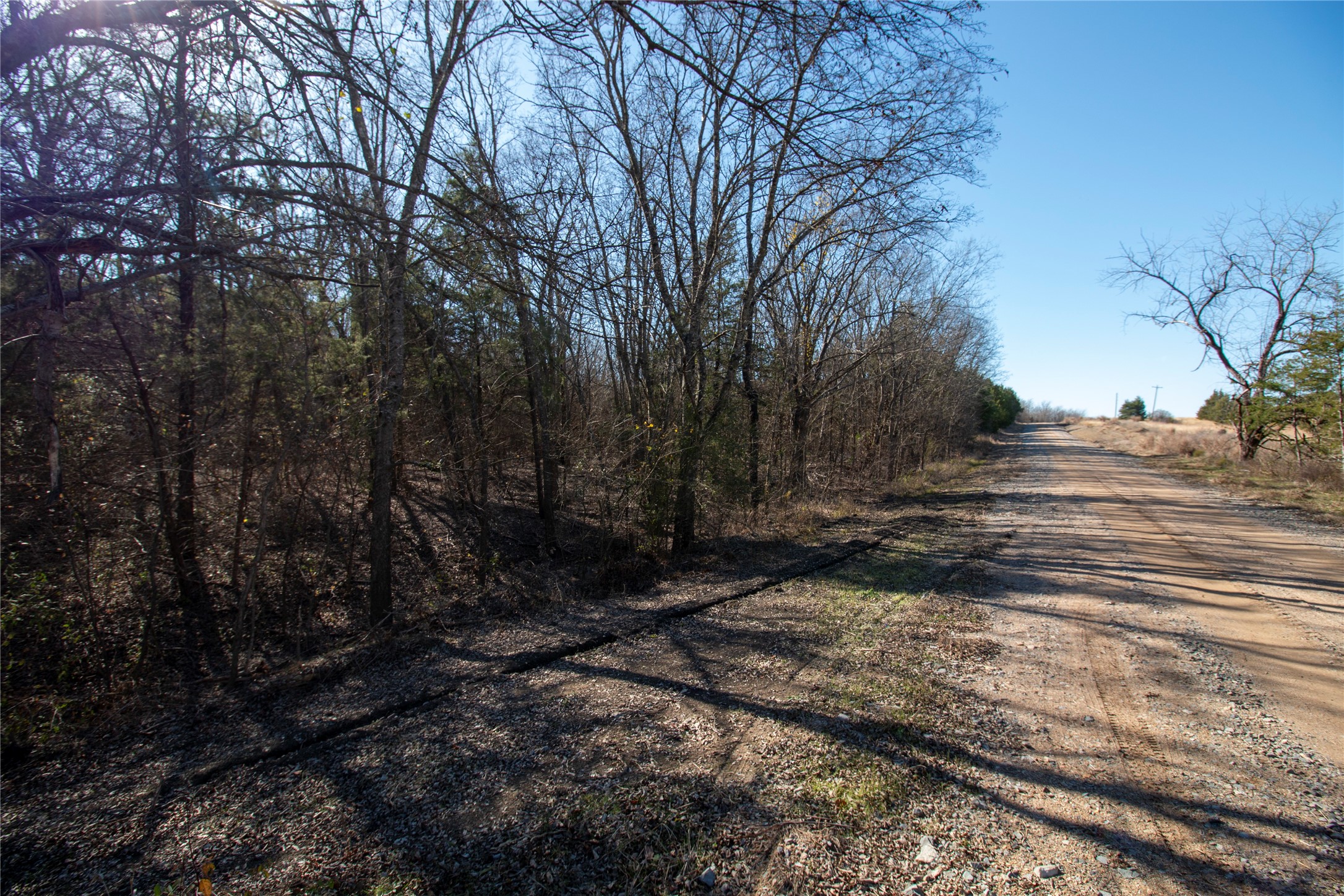 Lot 3 County Road 2905 Dodd City TX 75438