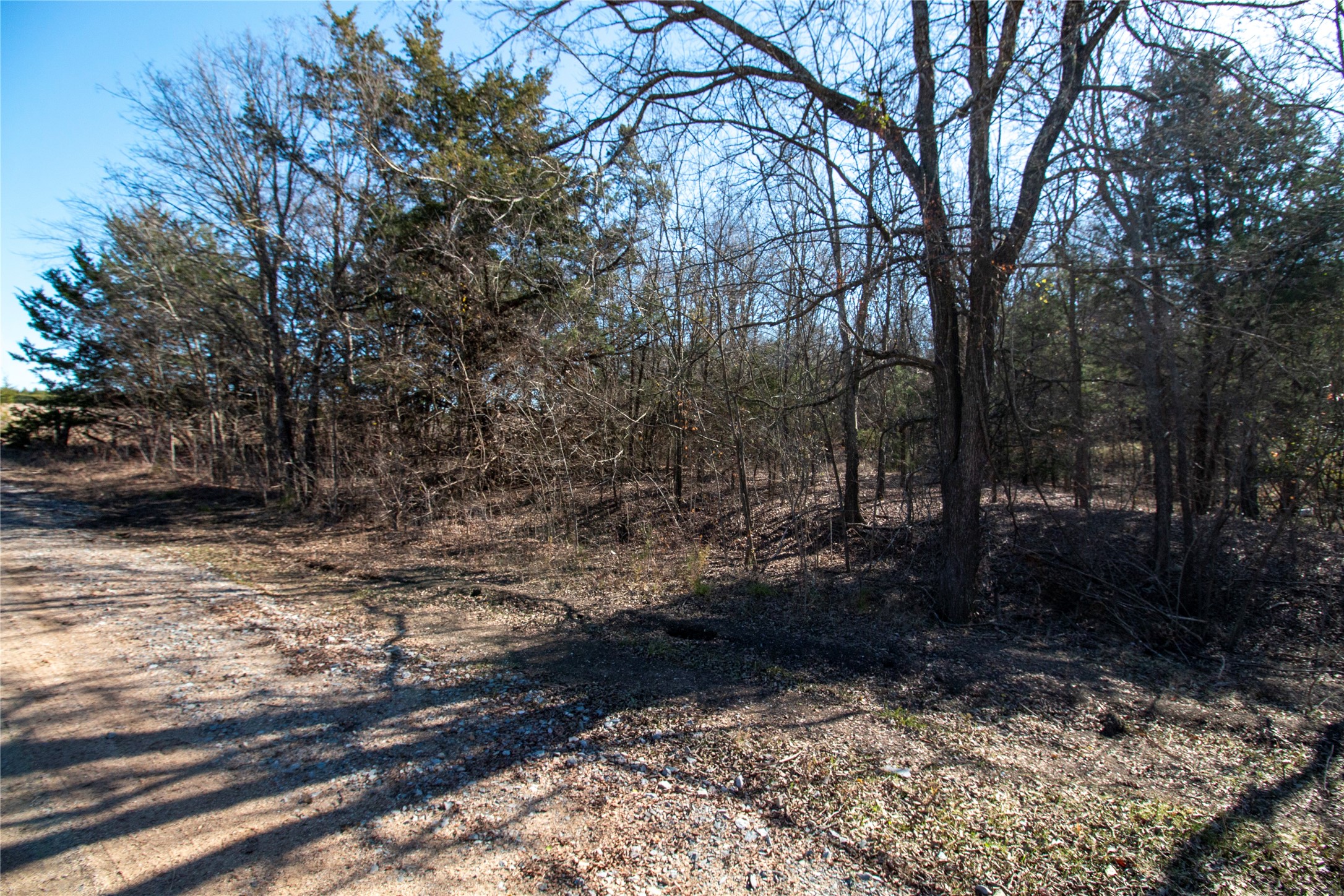 Lot 3 County Road 2905 Dodd City TX 75438