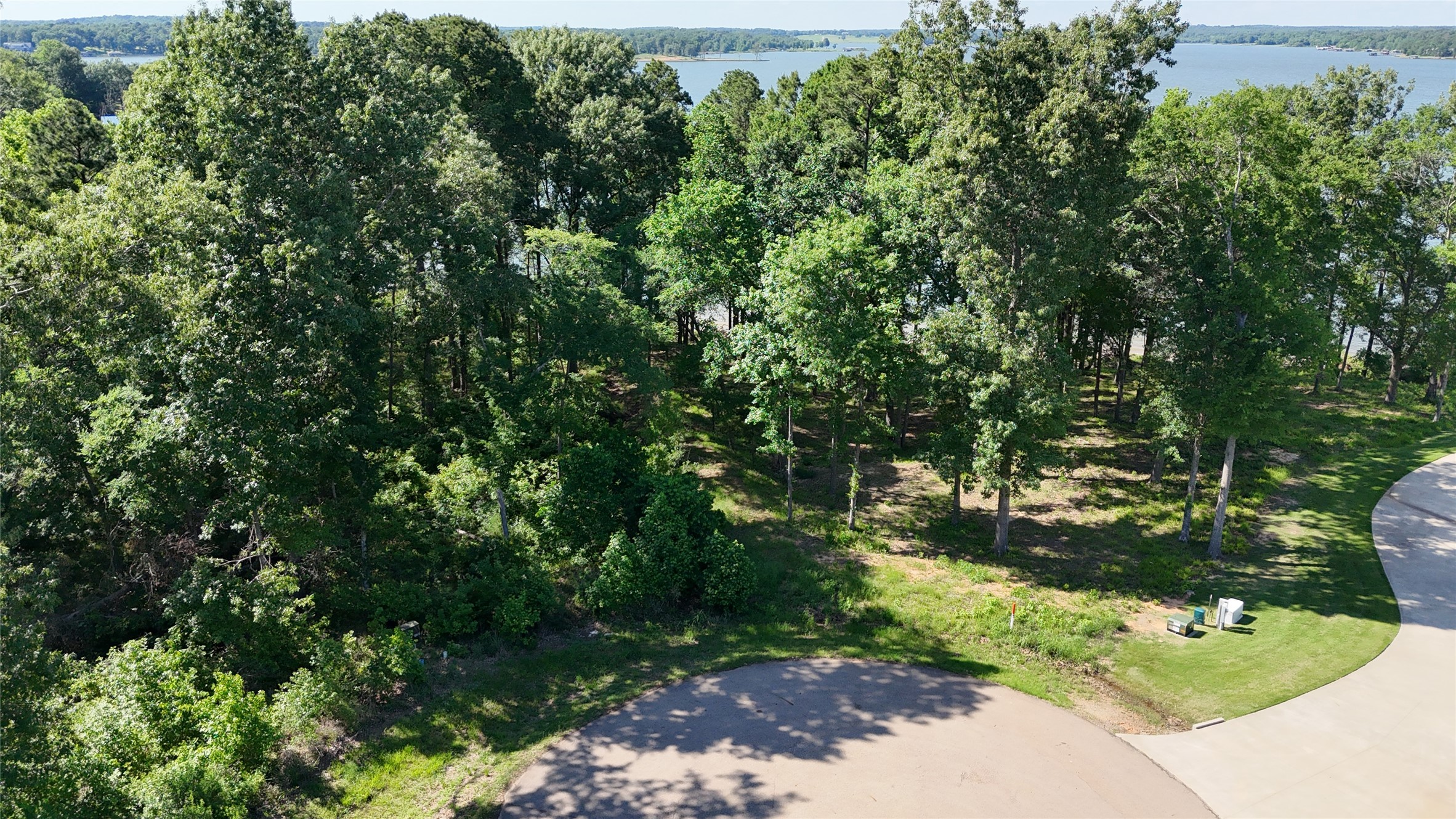 Lot 16 N Pr 52416 Leesburg TX 75451