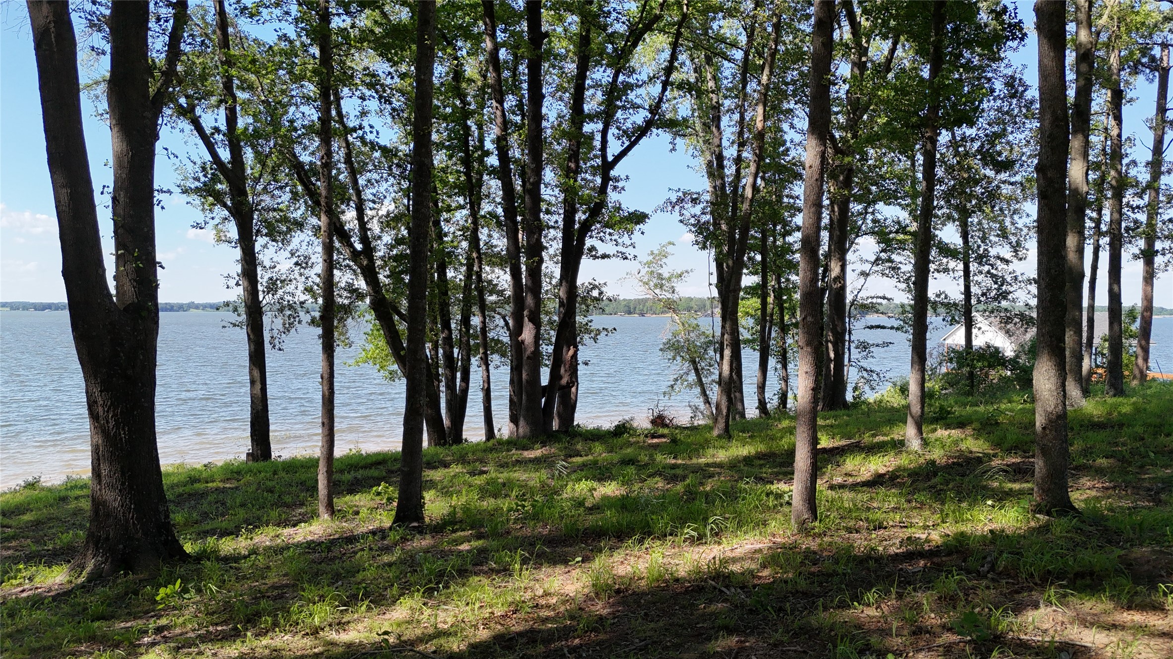 Lot 16 N Pr 52416 Leesburg TX 75451