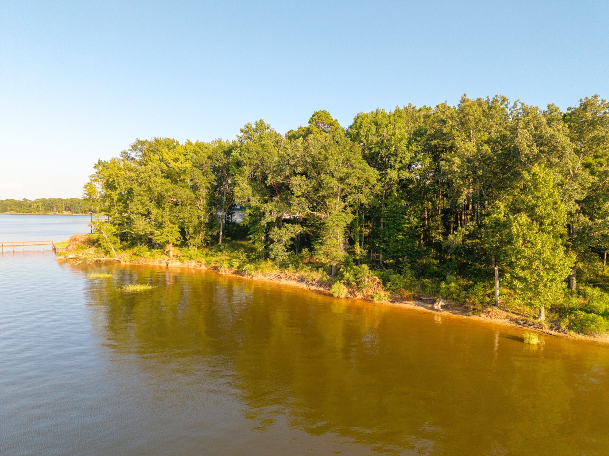 Lot 16 N Pr 52416 Leesburg TX 75451