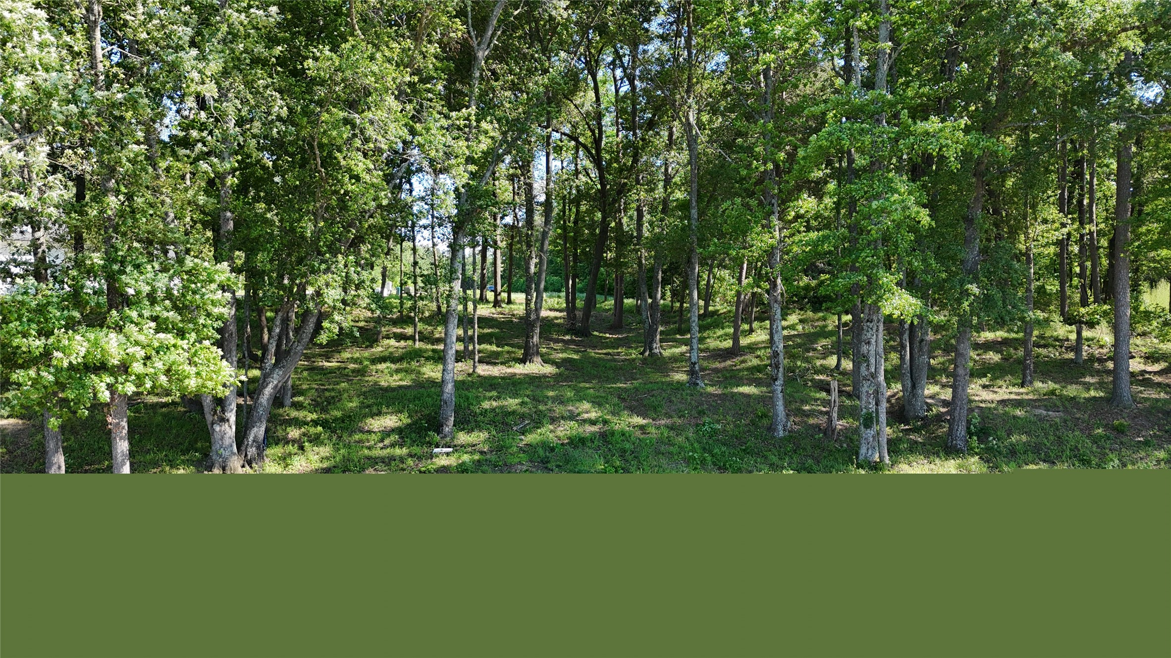 Lot 16 N Pr 52416 Leesburg TX 75451