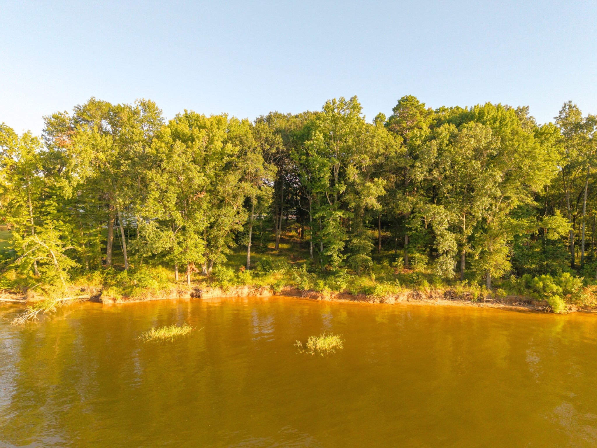 Lot 16 N Pr 52416 Leesburg TX 75451