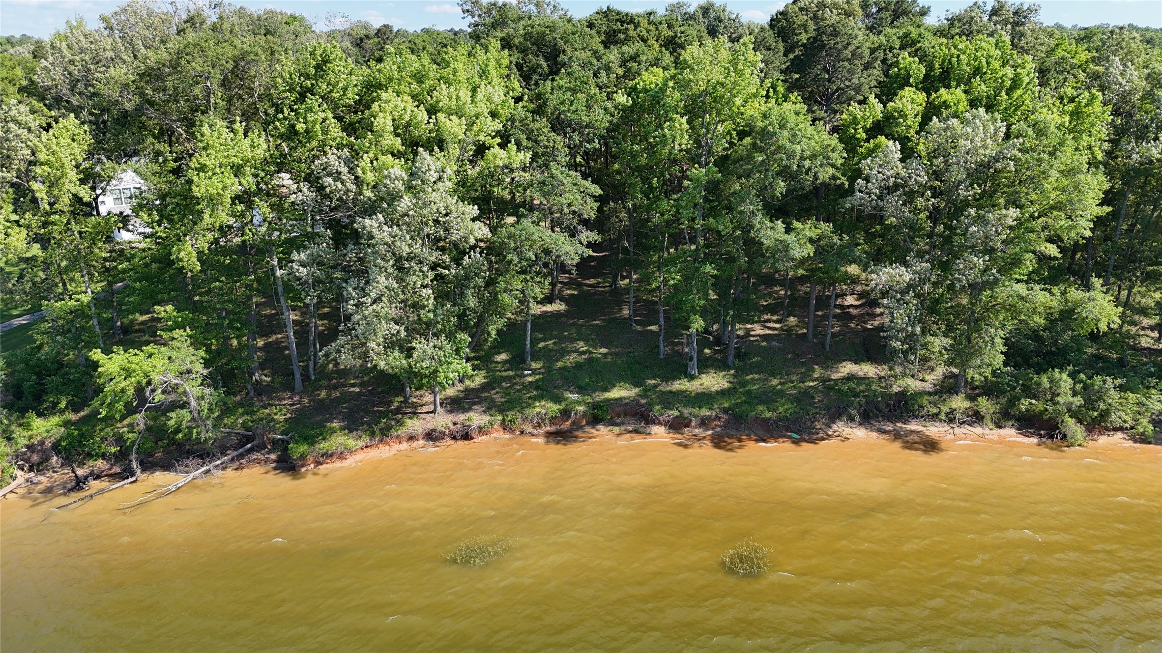 Lot 16 N Pr 52416 Leesburg TX 75451