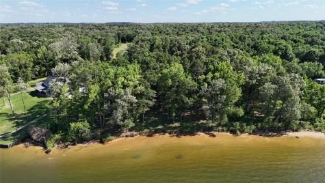 Lot 16 N Pr 52416 Leesburg TX 75451