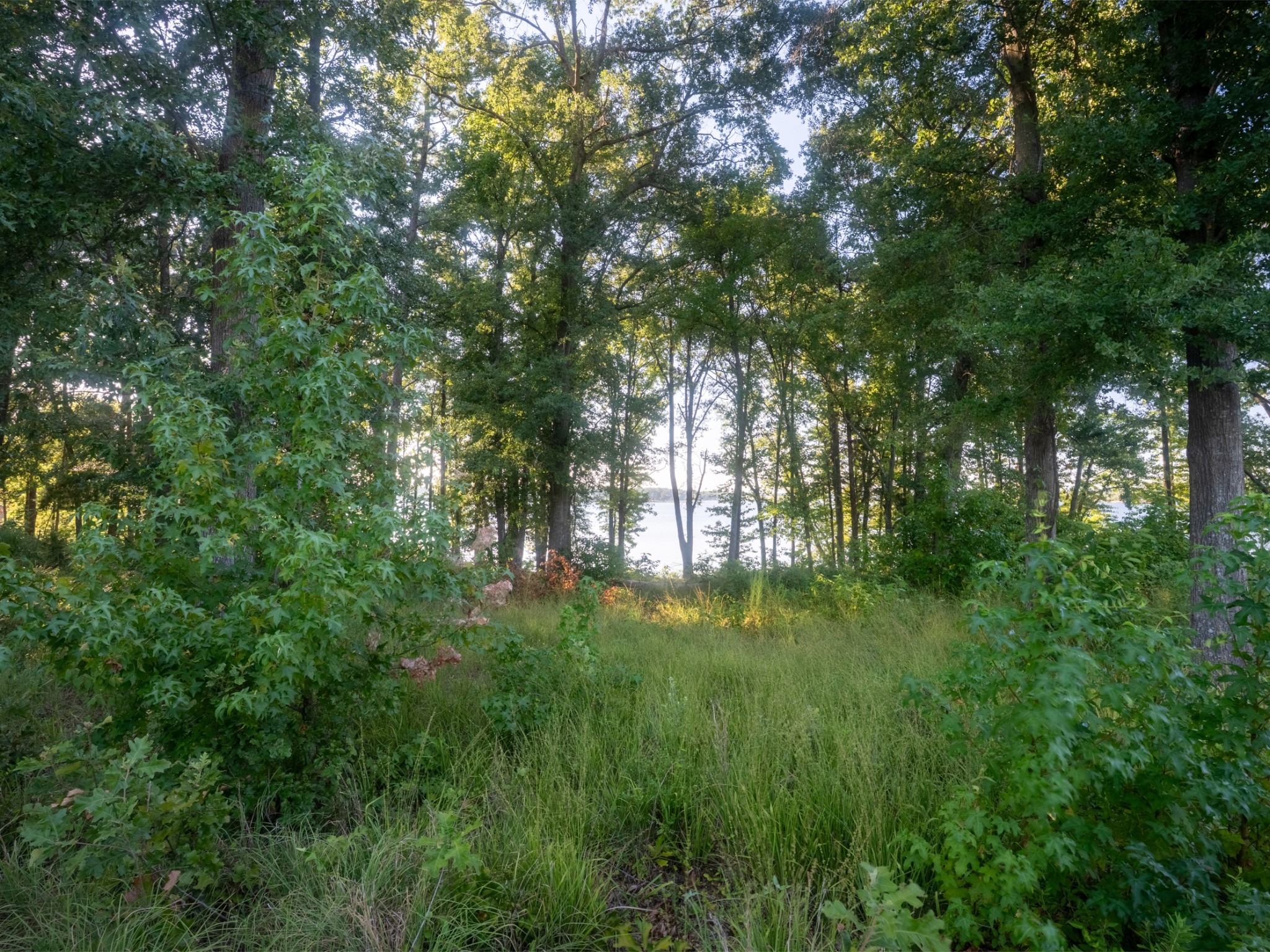 Lot 16 N Pr 52416 Leesburg TX 75451