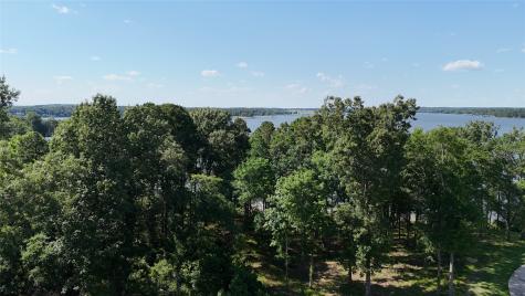 Lot 16 N Pr 52416 Leesburg TX 75451