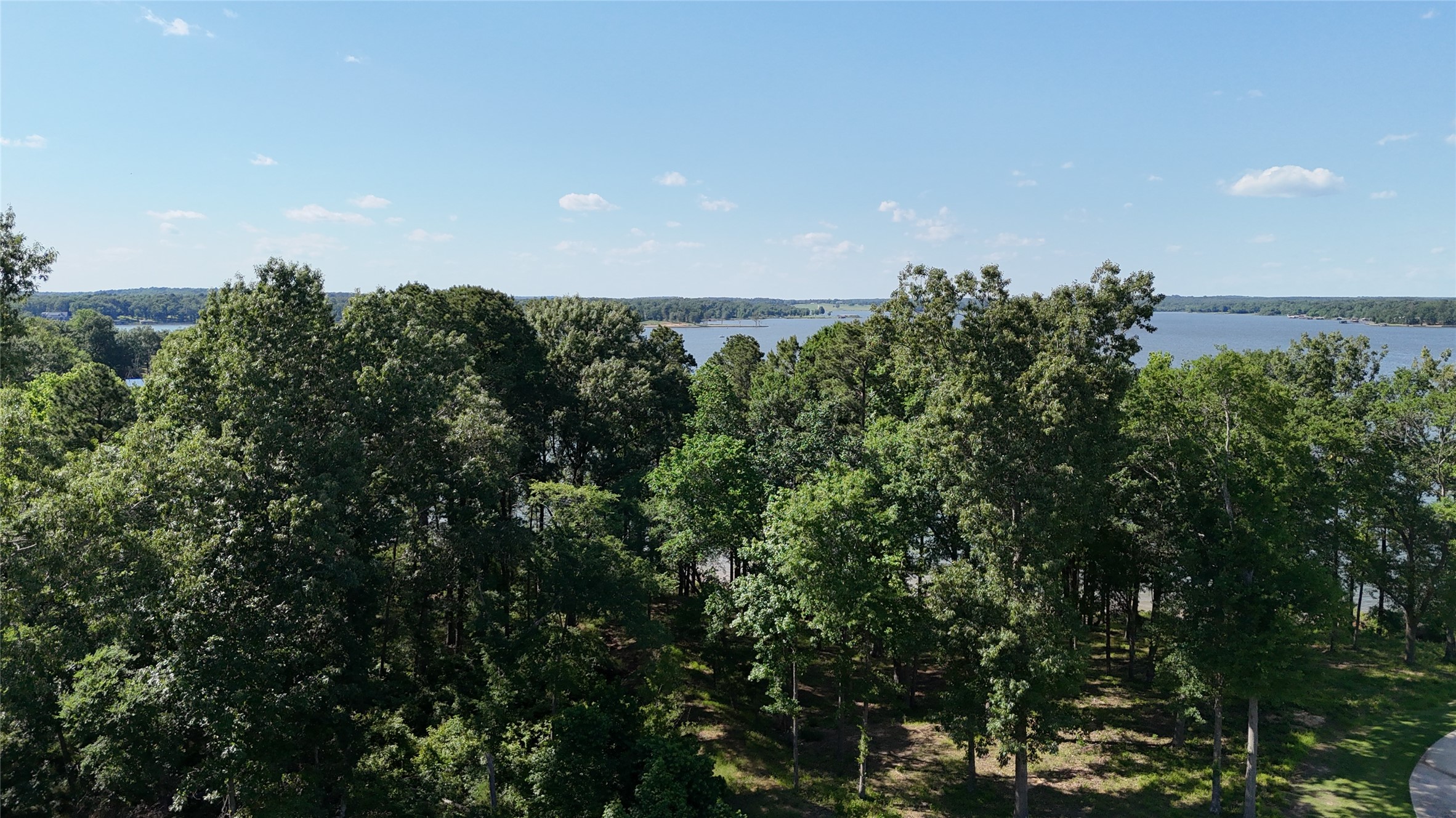 Lot 16 N Pr 52416 Leesburg TX 75451