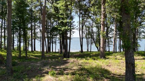 Lot 16 N Pr 52416 Leesburg TX 75451