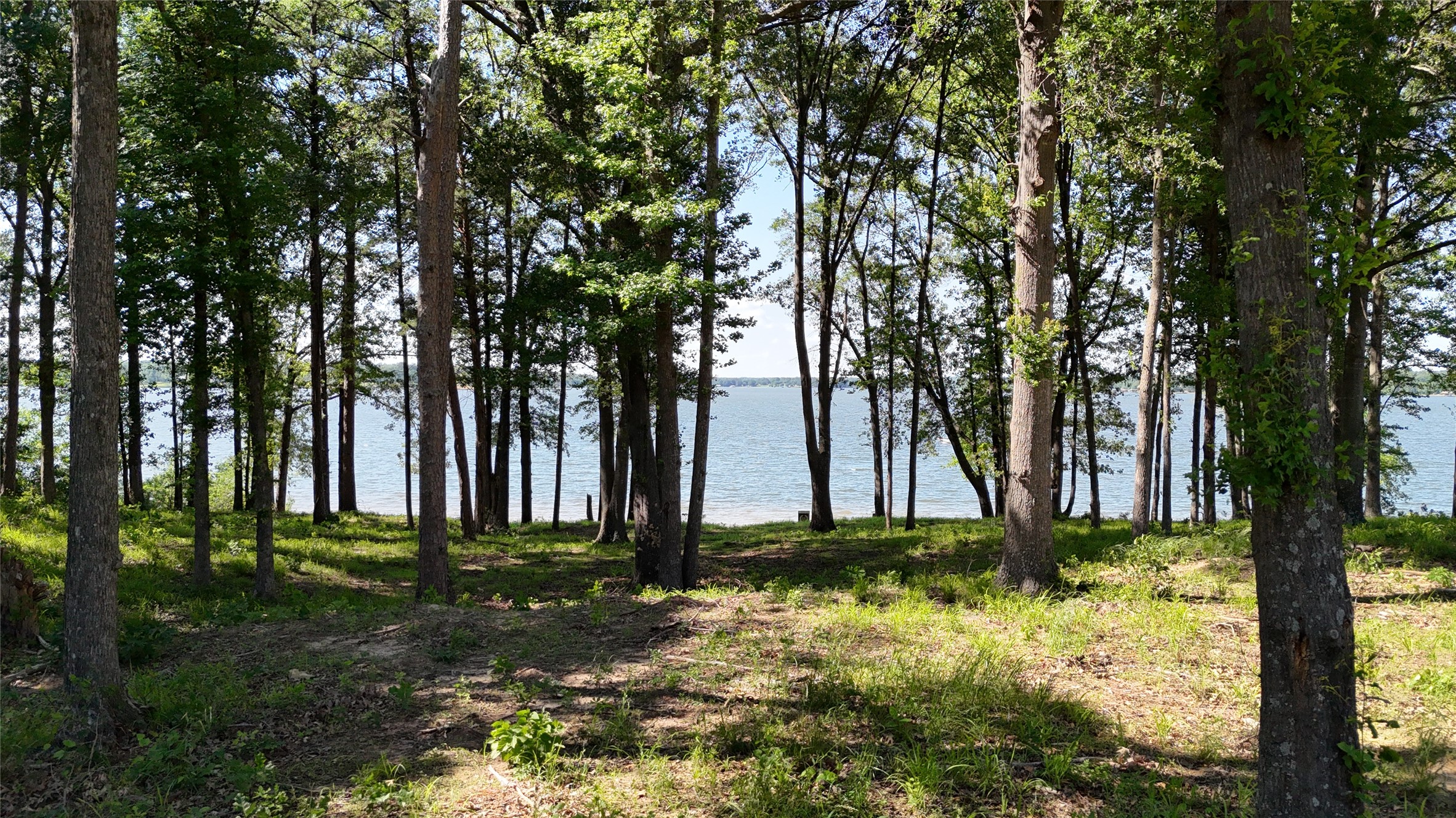 Lot 16 N Pr 52416 Leesburg TX 75451