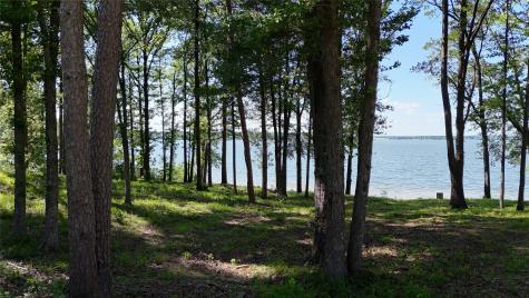 Lot 16 N Pr 52416 Leesburg TX 75451