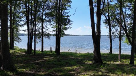 Lot 16 N Pr 52416 Leesburg TX 75451