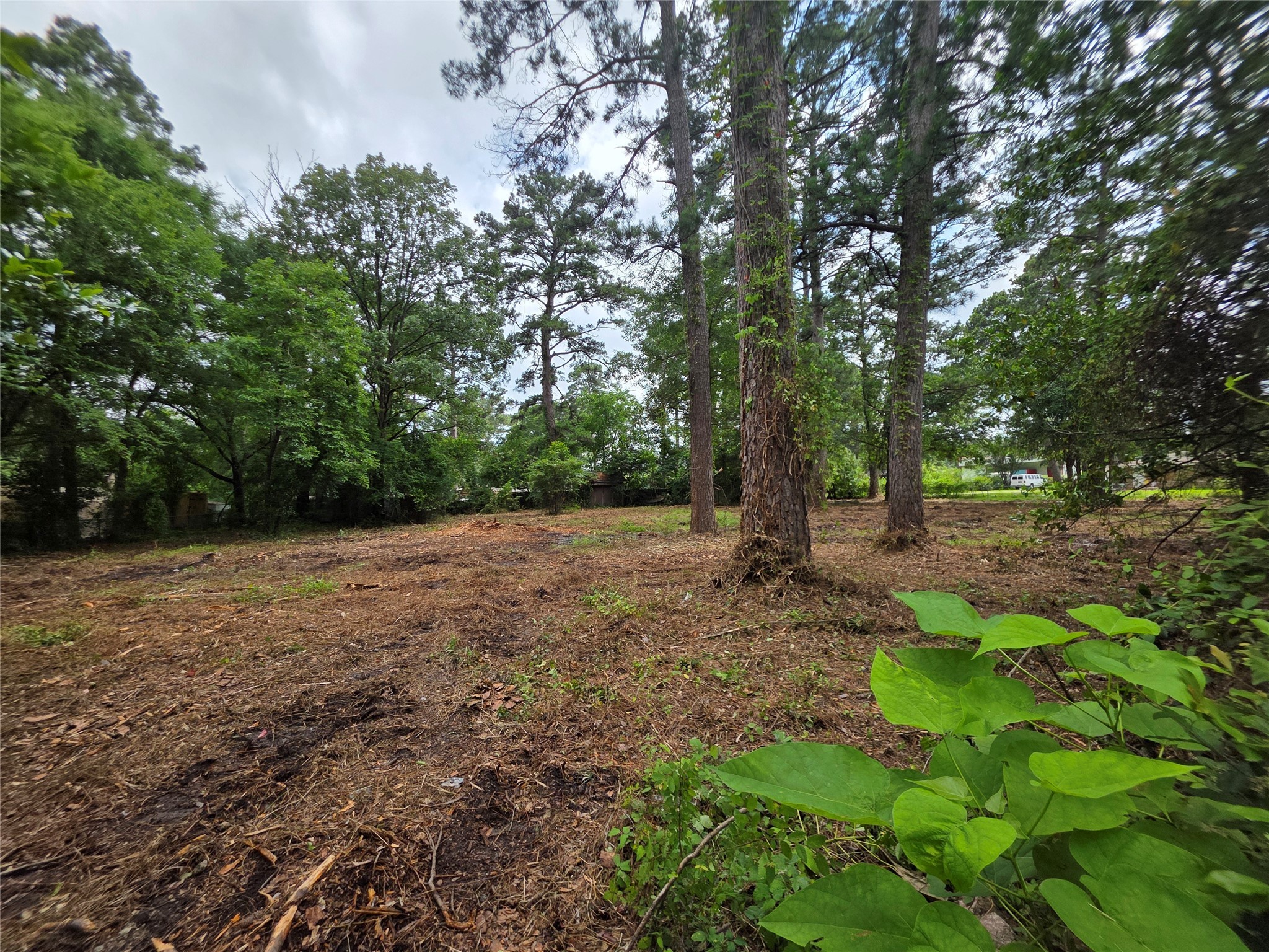 20812 Clinton Chandler TX 75758