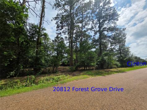 20812 Clinton Chandler TX 75758