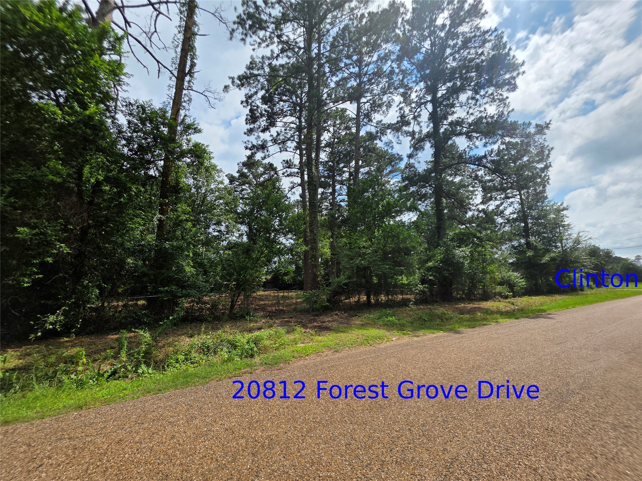 20812 Clinton Chandler TX 75758