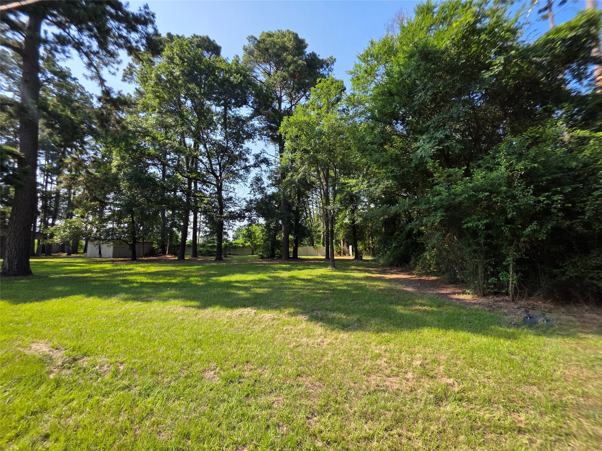 20812 Clinton Chandler TX 75758