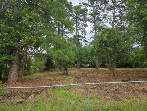 20812 Clinton Chandler TX 75758