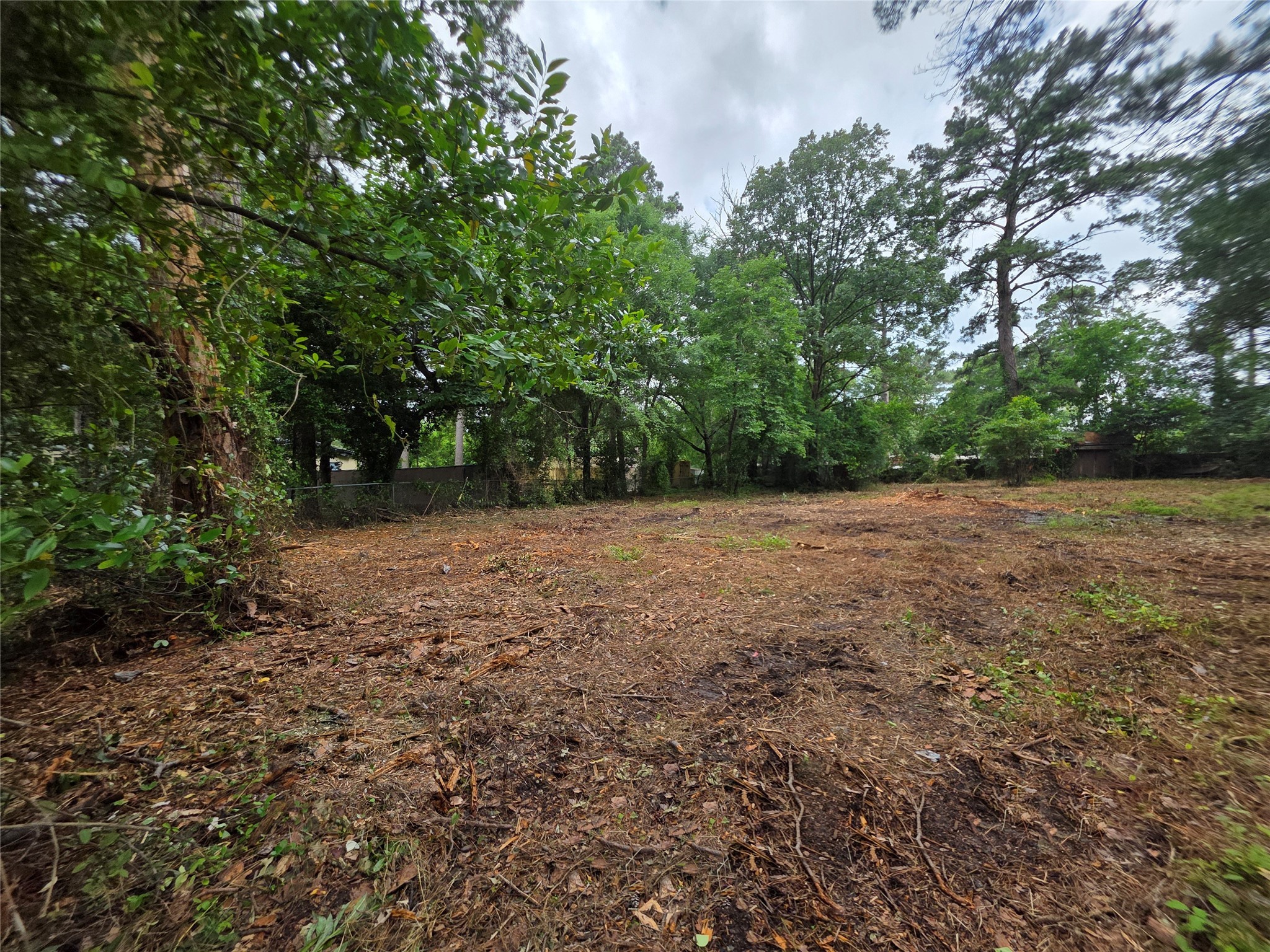 20812 Clinton Chandler TX 75758