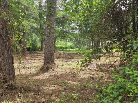 20812 Clinton Chandler TX 75758