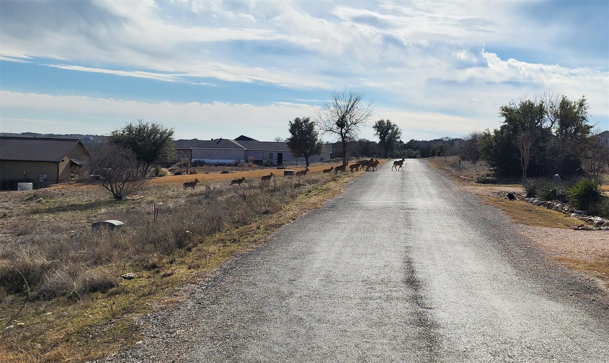 Lot 69 Mockingbird Bend Graford TX 76449