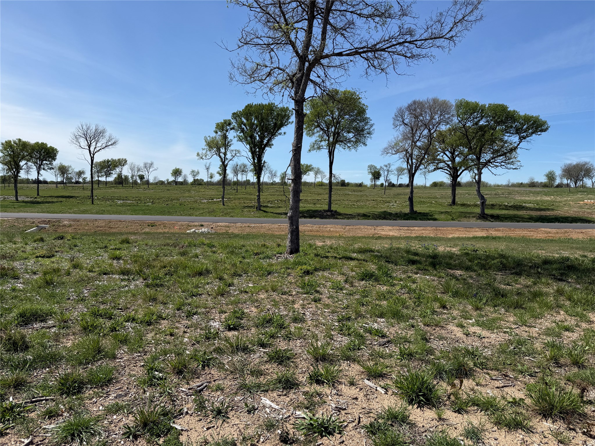 174 Serene Way Richland TX 76681