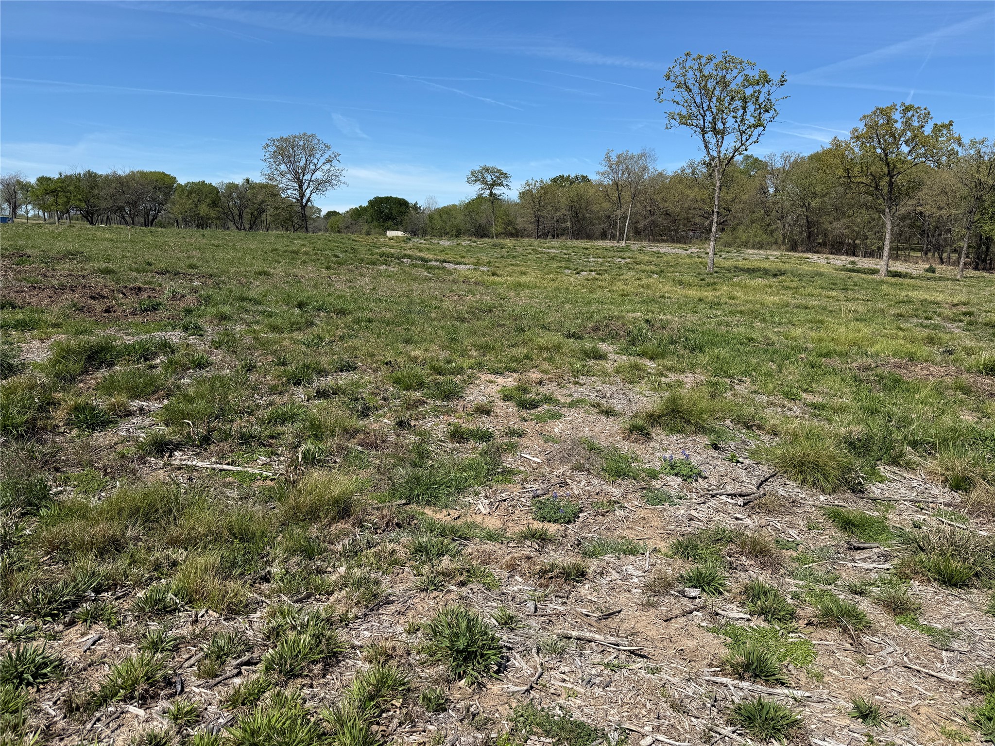 174 Serene Way Richland TX 76681