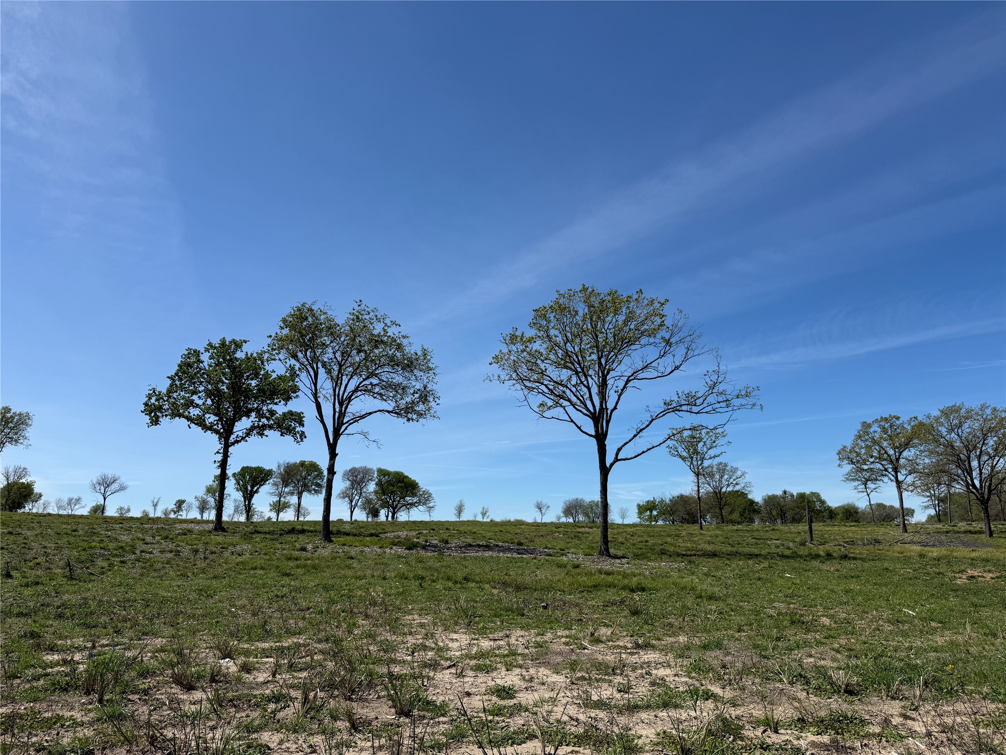 174 Serene Way Richland TX 76681
