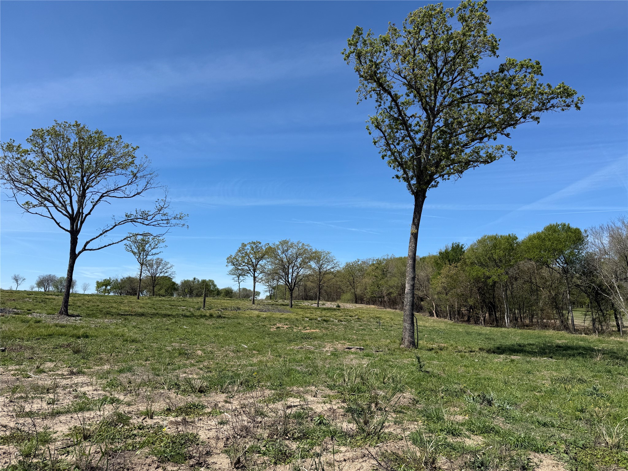 174 Serene Way Richland TX 76681