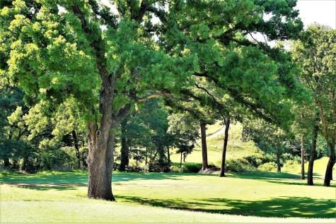 Lot 1b St Andrews Court Gordonville TX 76264