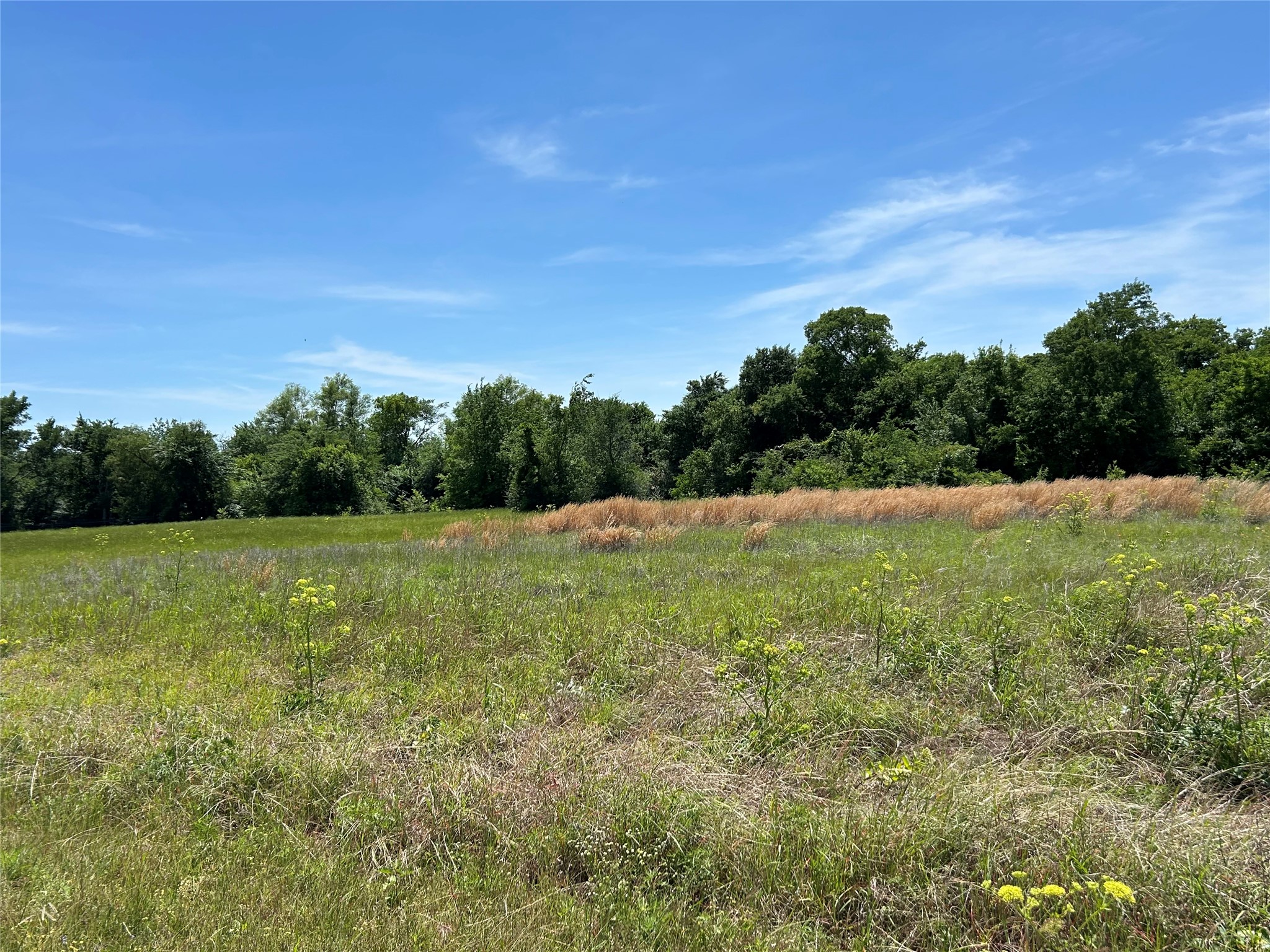 1187 Eagle Lake Drive Wills Point TX 75169