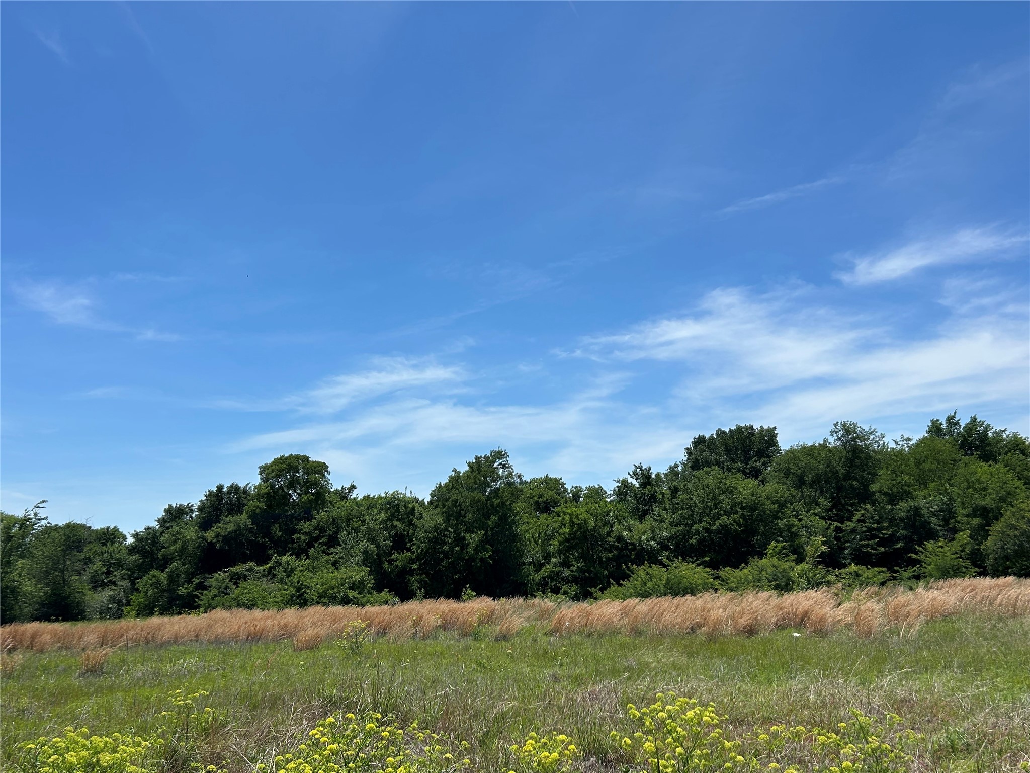 1187 Eagle Lake Drive Wills Point TX 75169