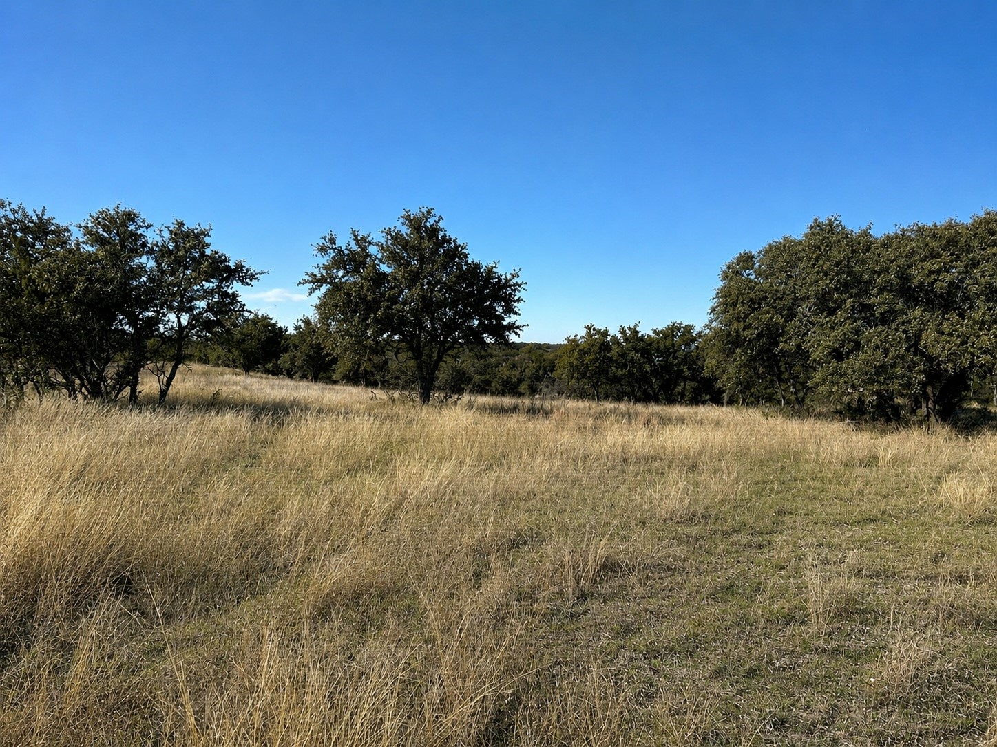 1146 Hidden Cove Trail Glen Rose TX 76043