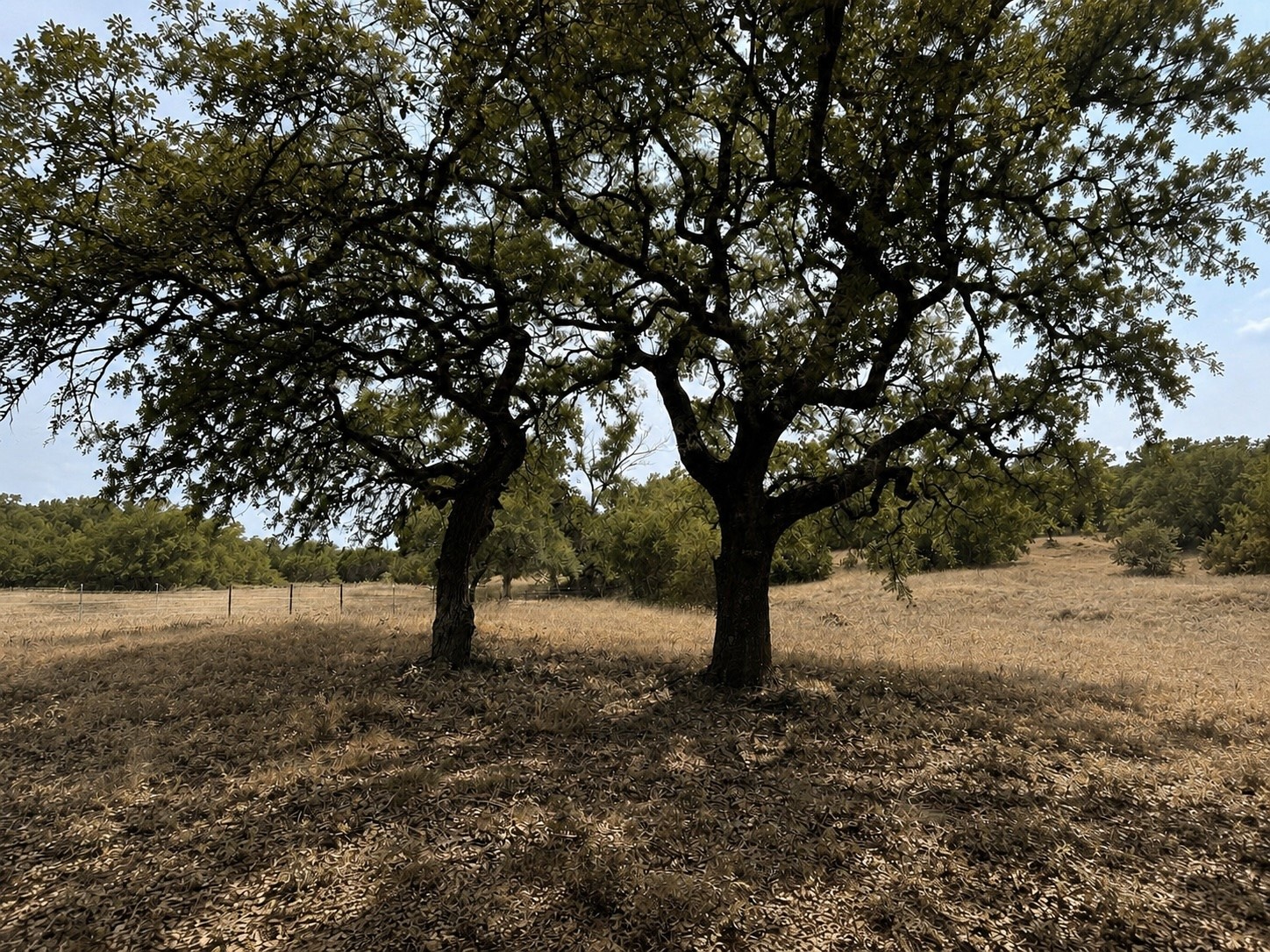 1146 Hidden Cove Trail Glen Rose TX 76043