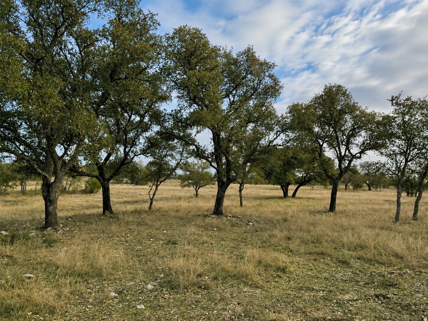1146 Hidden Cove Trail Glen Rose TX 76043