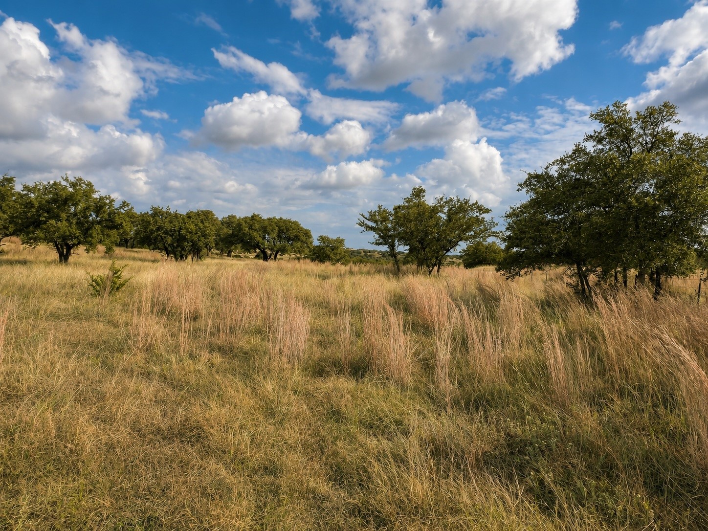 1146 Hidden Cove Trail Glen Rose TX 76043