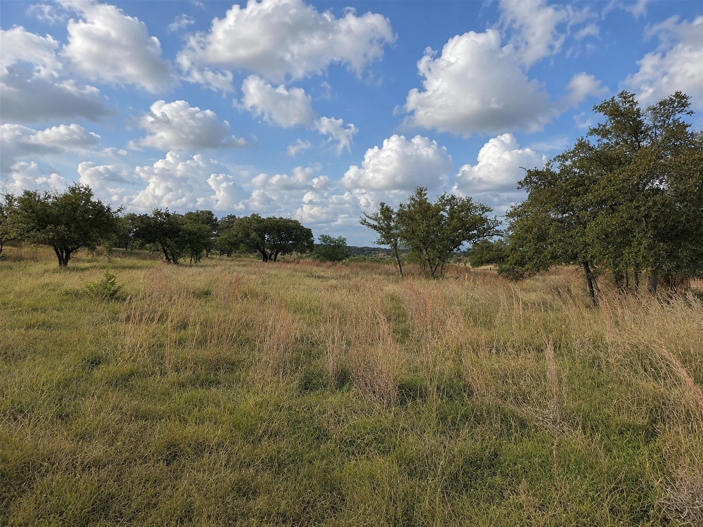1146 Hidden Cove Trail Glen Rose TX 76043