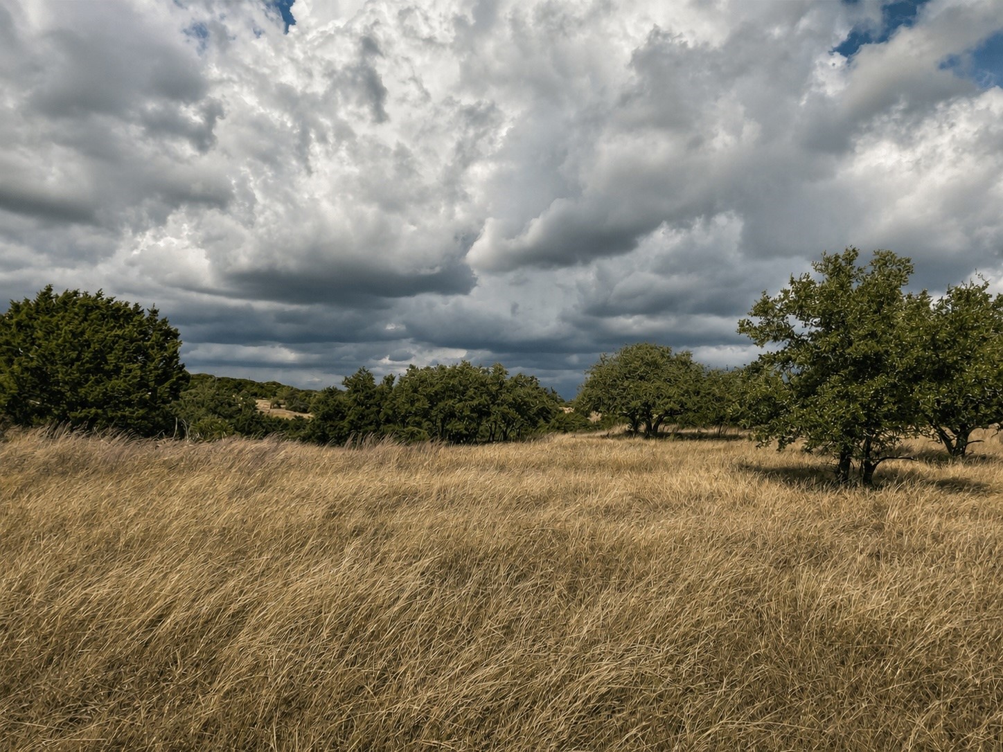 1146 Hidden Cove Trail Glen Rose TX 76043